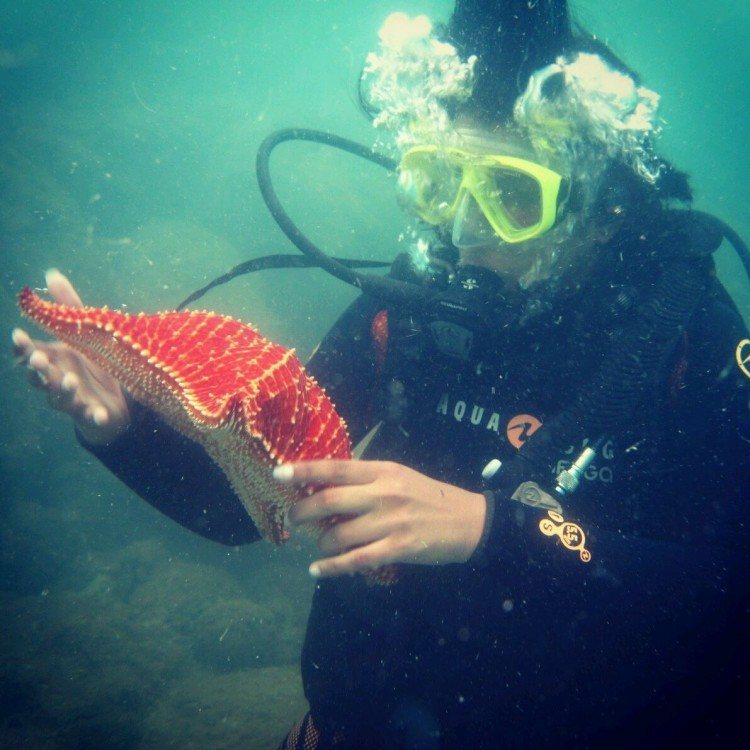 At Bananal Point, Rio de Janeiro